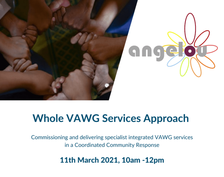 The Whole VAWG Services Approach
