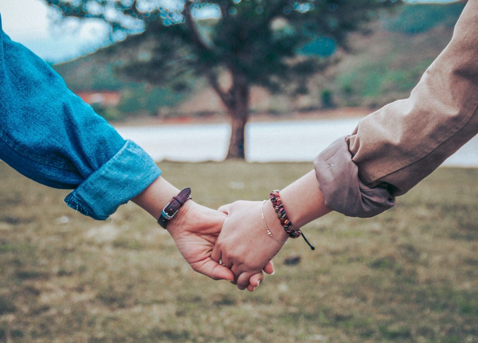 Two hands joined in mid-air against a background of grass and a big tree.